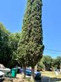 1547 Adelbert Avenue - Photo 31