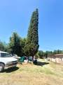 1547 Adelbert Avenue - Photo 32