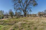 18389 Gerrans Street - Photo 50