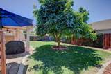 1817 San Gabriel Drive - Photo 46