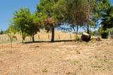 2802 Dunn Road - Photo 7