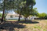 2802 Dunn Road - Photo 8