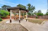 15 Fig Leaf Court - Photo 51