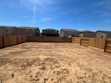 4163 Scarlet Court - Photo 12