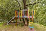 18461 Shake Ridge Road - Photo 60
