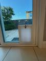 2723 Carnation Way - Photo 46