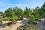 44194 Lakeview Drive - Photo 80