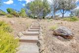 2441 Quail Hill Road - Photo 65