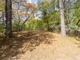 5031 Anne Louise Lane - Photo 11