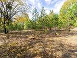 5031 Anne Louise Lane - Photo 12