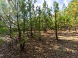 5031 Anne Louise Lane - Photo 13