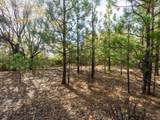 5031 Anne Louise Lane - Photo 14