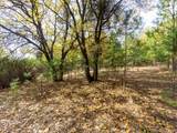 5031 Anne Louise Lane - Photo 15
