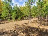 5031 Anne Louise Lane - Photo 16
