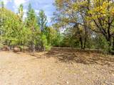 5031 Anne Louise Lane - Photo 17