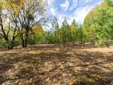 5031 Anne Louise Lane - Photo 2