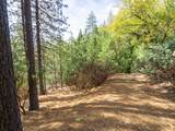 5031 Anne Louise Lane - Photo 21