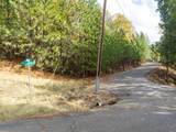 5031 Anne Louise Lane - Photo 23