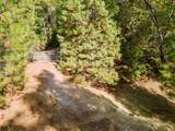 5031 Anne Louise Lane - Photo 24