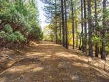 5031 Anne Louise Lane - Photo 7
