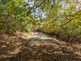 5031 Anne Louise Lane - Photo 9