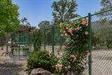 7087 Latigo Street - Photo 47