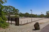 7087 Latigo Street - Photo 6
