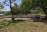 7087 Latigo Street - Photo 60