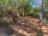 1636 Nickerson Lane - Photo 11