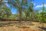553 Crazy Horse Court - Photo 48