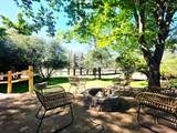 7267 Shadow Oak - Photo 38