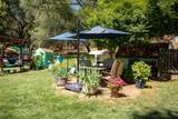 12868 Marcos Lane - Photo 46