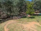 12868 Marcos Lane - Photo 56