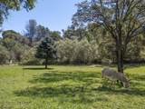 12868 Marcos Lane - Photo 58