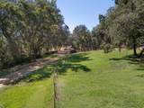 12868 Marcos Lane - Photo 59