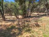 12868 Marcos Lane - Photo 60