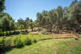 12868 Marcos Lane - Photo 69