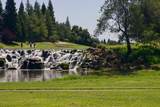 1227 Overland Lane - Photo 44