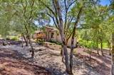 13056 Austin Forest Circle - Photo 49