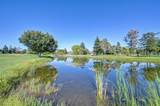 10886 St Moritz Circle - Photo 42