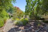 216 Navarretia Court - Photo 40