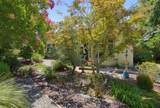 216 Navarretia Court - Photo 41