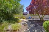 216 Navarretia Court - Photo 45