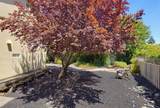 216 Navarretia Court - Photo 47