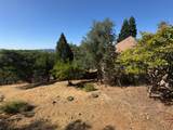 2418 Westville Trail - Photo 46