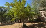 2418 Westville Trail - Photo 57