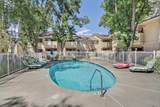 5875 Gloria Drive - Photo 59