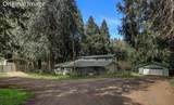 11312 Alpine Lane - Photo 4
