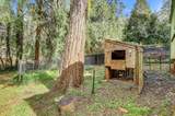 11312 Alpine Lane - Photo 47