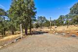 10363 Tulipan Way - Photo 33